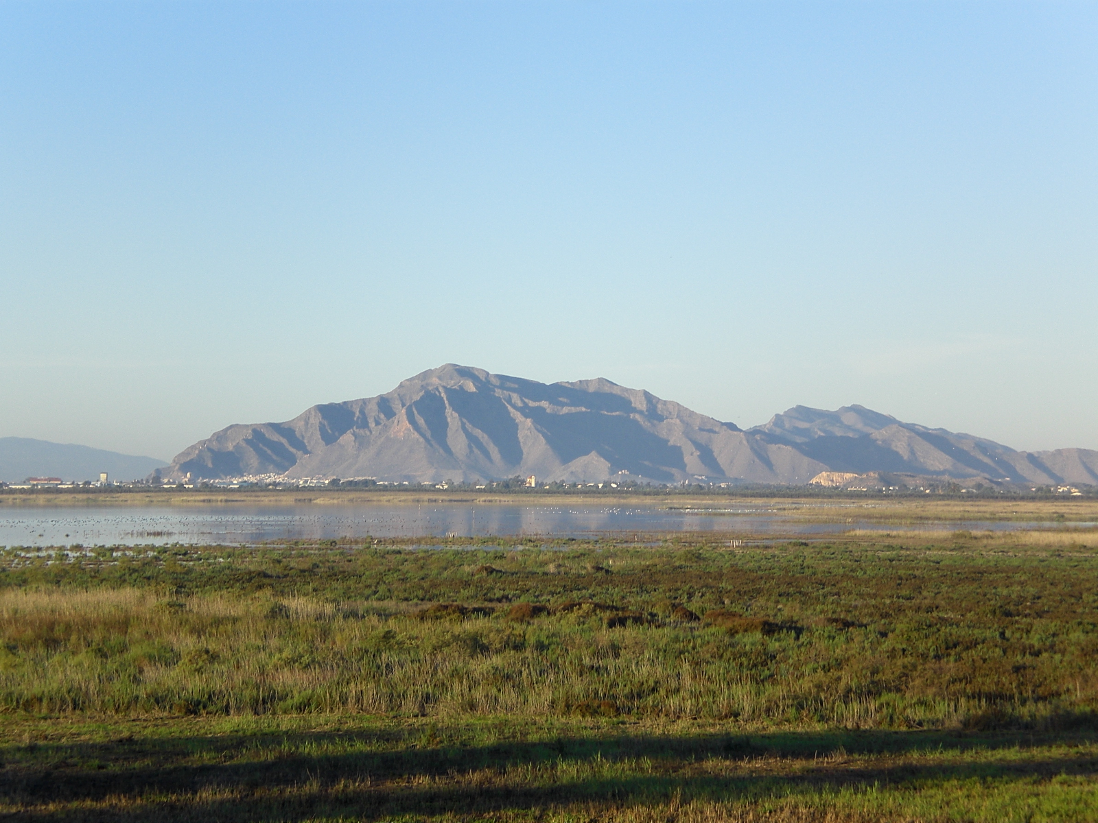 El Hondo. Embalse de Poniente- Charca sur; al fondo Sierra de Callosa del Segura